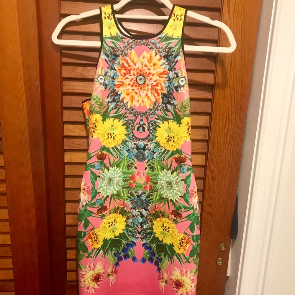Clover Canyon Racerback Floral Dress